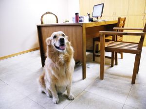 法律新訊 6
