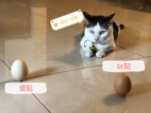 法律新訊 4