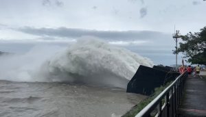 法律新訊 5