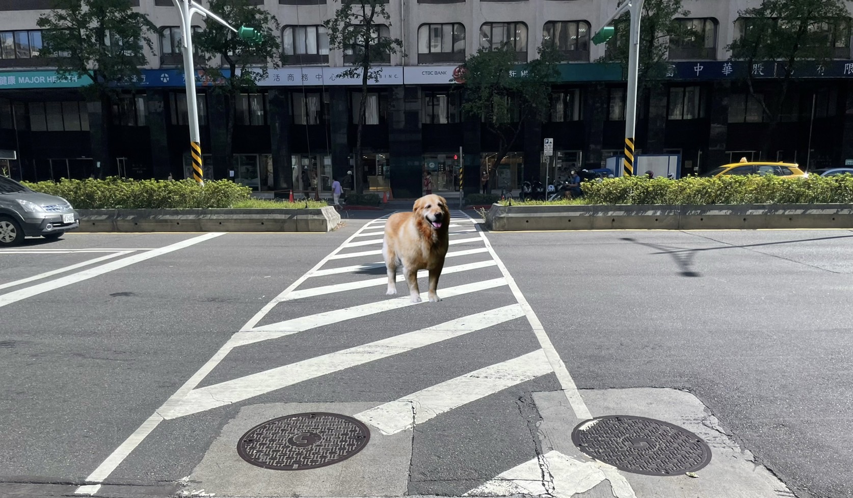 台灣寵物信託/ 寵物遺囑 4