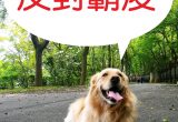 網路霸凌之民刑事法院管轄權 3