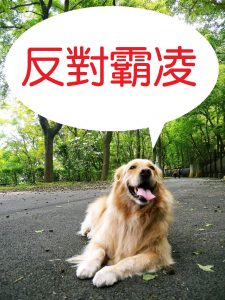 法律新訊 8