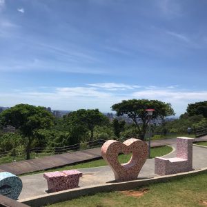 法律新訊 6