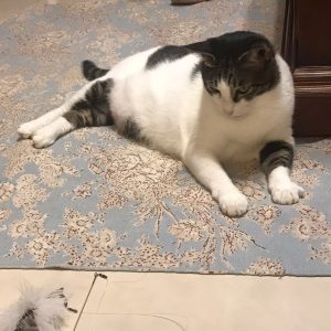 法律新訊 6