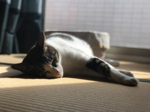 法律新訊 5