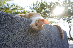 法律新訊 5