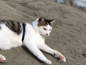 法律新訊 4