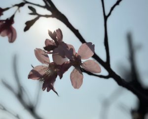 法律新訊 4