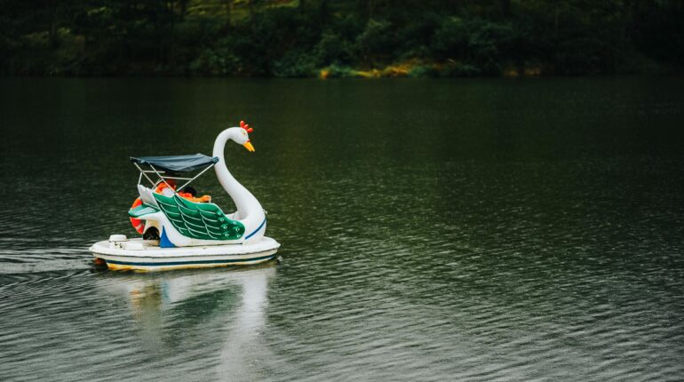 【過年法律常識】鯉魚潭天鵝船翻覆事件的刑責與國家賠償責任 1