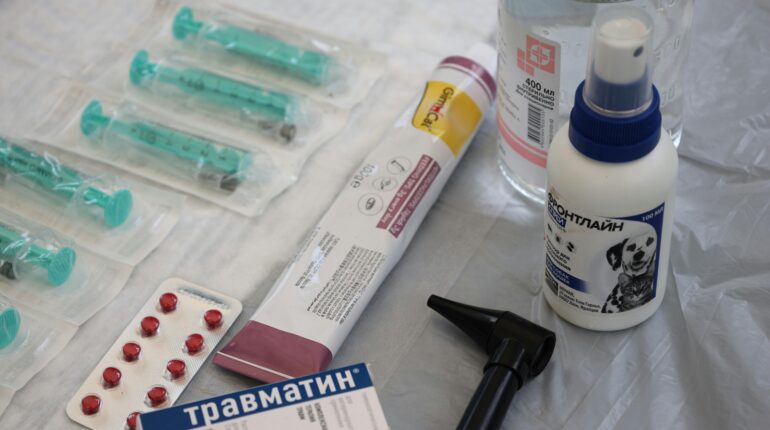 【行政】寵物醫療用藥之法律爭議 1