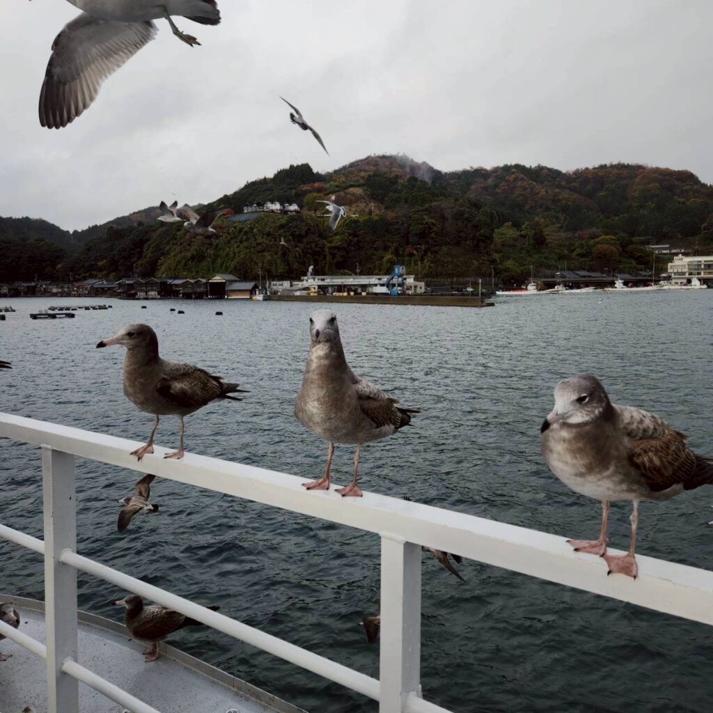 202512/2-12/6 陽昇城崎溫泉與海京都冬之員旅 第三天 22